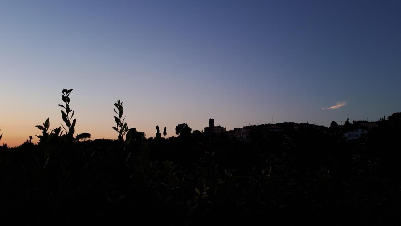 Casa Di Giulia Lejlighed Santa Luce Eksteriør billede