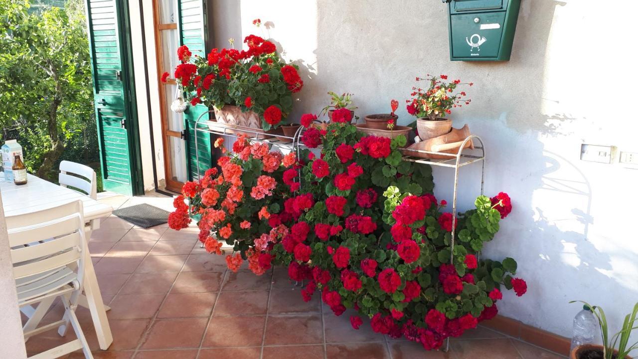 Casa Di Giulia Lejlighed Santa Luce Eksteriør billede